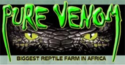 The biggest Reptile Farm in Africa - Activities, Adventure and Things to Do on the South Coast of KwaZulu-Natal