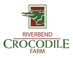 Riverbend Crocodile Farm - Ramsgate - Activities - Adventure and Things to Do on the South Coast of KwaZulu-Natal