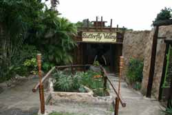 Butterfly Valley – Butterfly Farm - Ramsgate - Activities, Adventure and Things to Do on the South Coast of KwaZulu-Natal