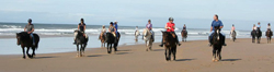 Selsdon Park Beach Horse riding South Coast KwaZulu Natal