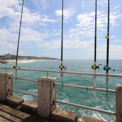 On the seafront at the Margate Pier, Dolphin View 103 is a short stroll into the coastal town of Margate town on the South Coast of KwaZulu Natal.