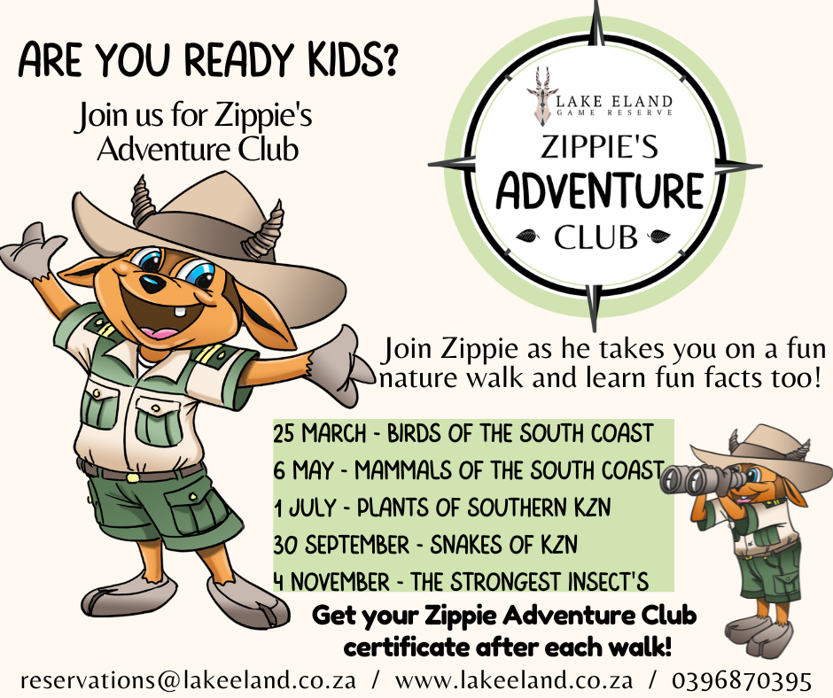 Zippie's Adventure Club-Plants of Southern KZN