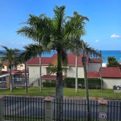 Topanga 25 sea view fron the balcony – a sea facing 6 sleeper in Uvongo offering affordable holiday accommodation in Uvongo just a walk to Uvongo beach.